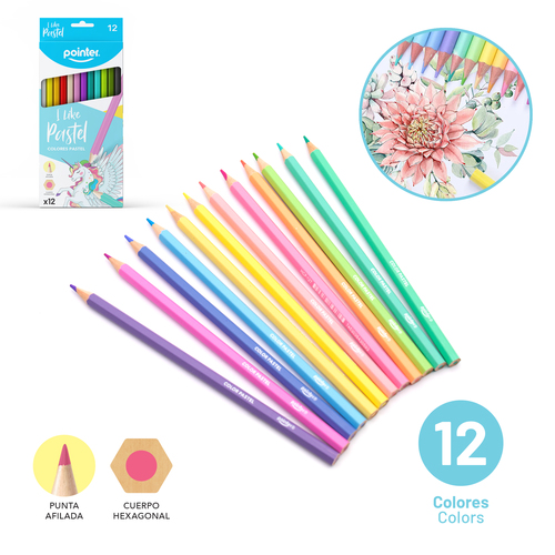 LAPICES COLOR POINTER 12COL HEXAGONAL PASTEL LARGOS HCP-12T