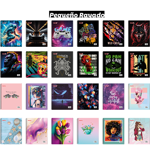 CUAD UNIV SMARTY PEQ RAY T25 60HJ SMA-04601 UD