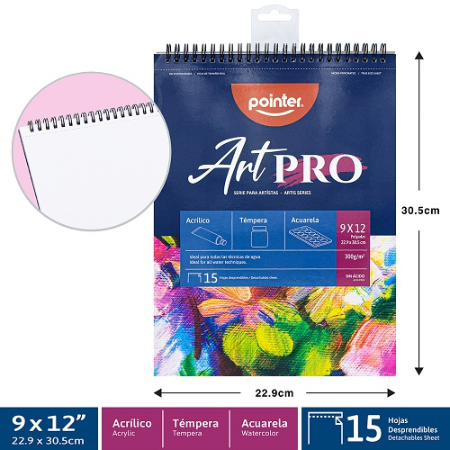 BLOCK ACRILICO POINTER 15HJ BL 9X12" 300GR DBWA-300-912 AGUA