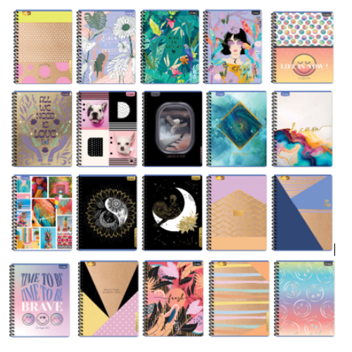 CUAD UNIV LIDER GDE RAY NOTES FEM T25 60HJ 184103 UD