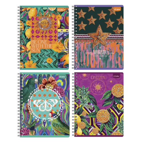 CUAD UNIV LIDER GDE RAY VIVA T26 100HJ 189160 UD